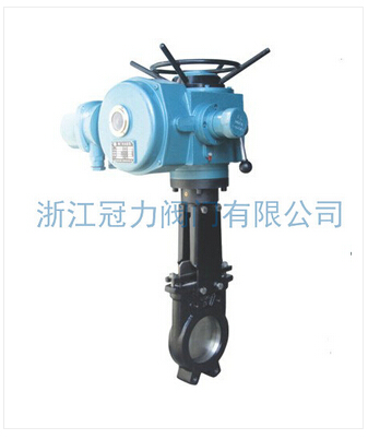 涉及范圍廣泛的電動(dòng)刀閘閥有何特點(diǎn)？